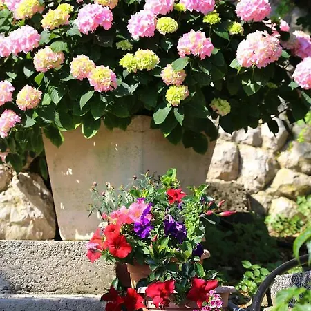 And By The Sea Trpanj, Peljesac - 258 טרפאניי